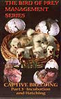 Bird of prey management series. Captive breeding
