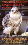 Bird of prey management series. Captive breeding
